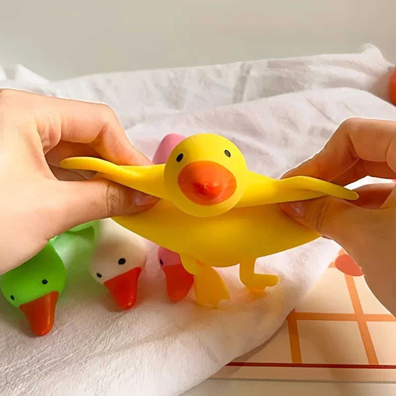 Ducky Squish